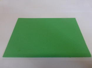 Fly Foam 2 mm Insect Green